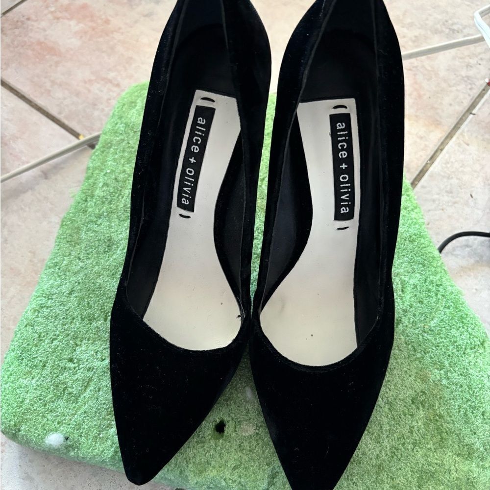 Alice & Olivia velvet pointy toe dress shoes gold pumps Dina heels classic